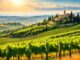 Montepulciano