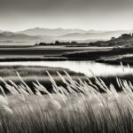 diaccia-botrona-castiglione-della-pescaia